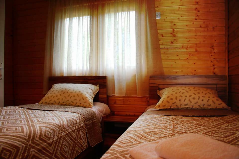 Hotel Ushba Hill เมสเตีย ภายนอก รูปภาพ